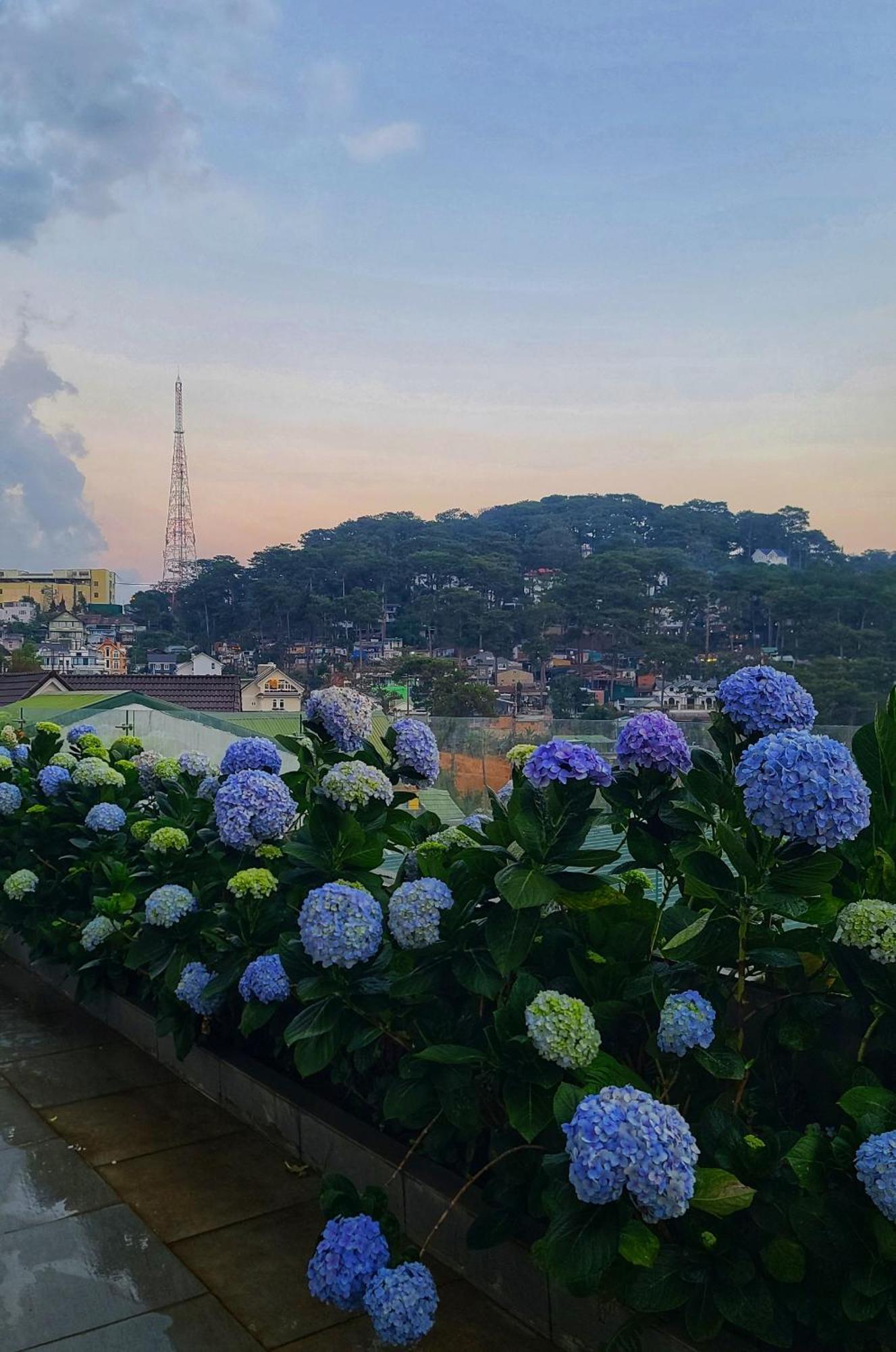 The Luxe Da Lat Hotell Exteriör bild